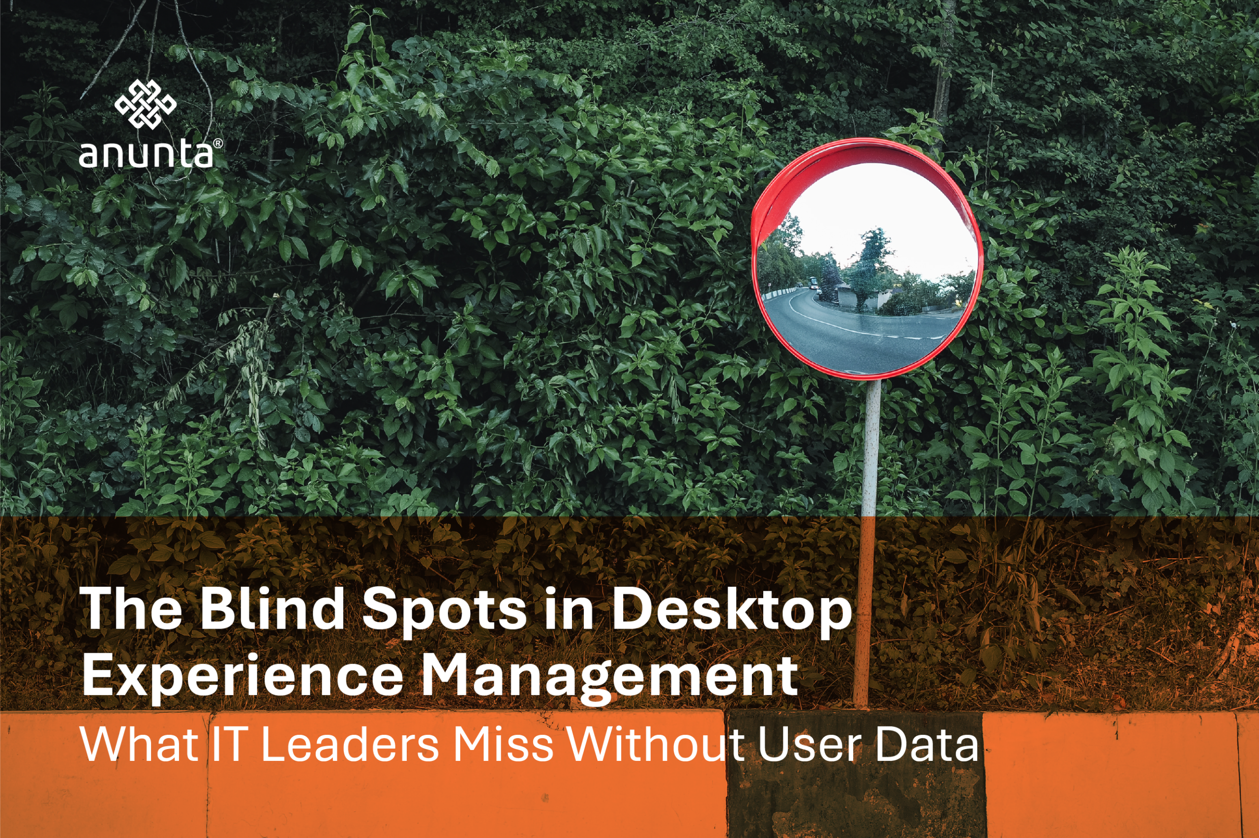 Blind Spots